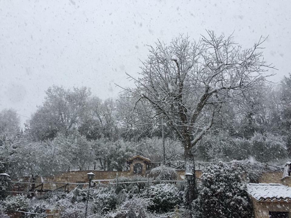 Il Renaiolo Villa Spello Bagian luar foto